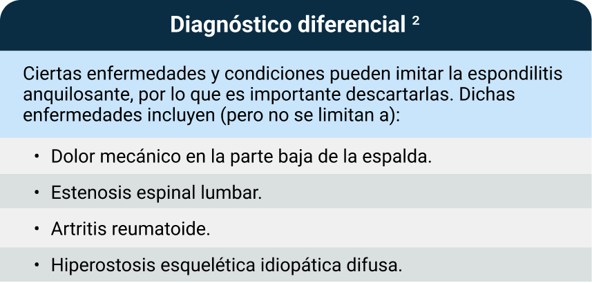 Imagen creada a partir de: Ankylosing Spondylitis. Kyle J. Wenker; Jessilin M. Quint. StatPearls Publishing; 2023 Jan.